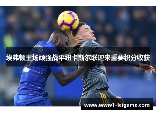 埃弗顿主场顽强战平纽卡斯尔联迎来重要积分收获 埃弗顿主场顽强战平纽卡斯尔联迎来重要积分收获